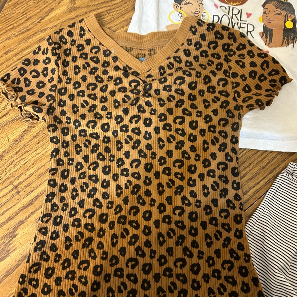 Leopard Print V-Neck Top